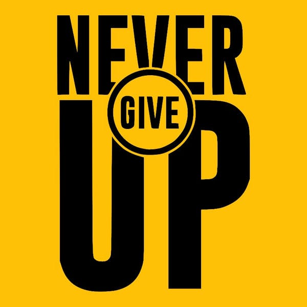 NEVER GIVE UP 2